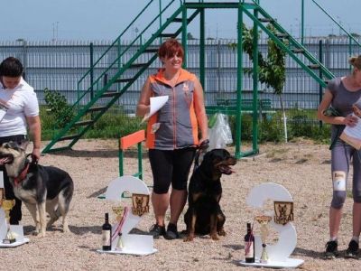 Аэропорт Симферополя стал площадкой соревнований по дрессировке собак
