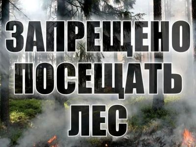 Из-за высокой опасности пожаров в Крыму на три дня запретили посещение лесов