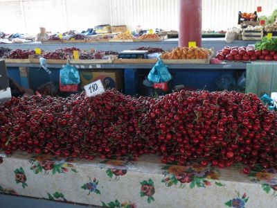 Садоводы Крыма ждут превосходный урожай фруктов и ягод
