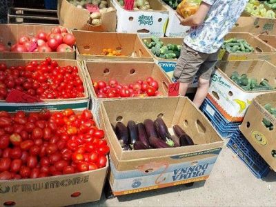 Кто зарабатывает в Крыму на дешевых херсонских овощах и фруктах?