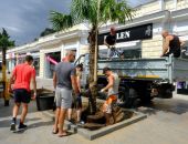 На набережной Ялты высадили 40 новых пальм