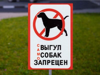 За минувшую неделю в Крыму домашние животные покусали 59 человек