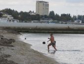 Температура морской воды у берегов Крыма продолжает снижаться