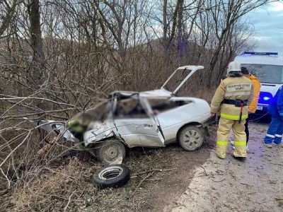 Водитель «ЗАЗ» погиб, врезавшись в дерево, по дороге из Коктебеля в Феодосию