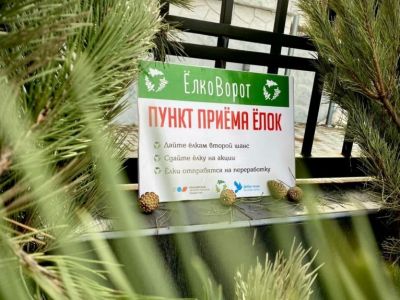 Акция "Елковорот" пройдет в Крыму 22 января