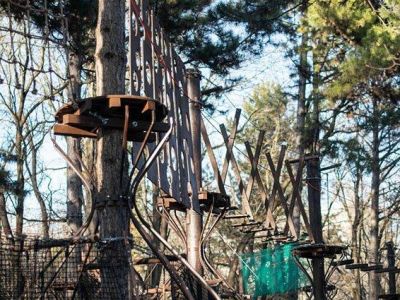 В Симферополе появился верёвочный парк, объявлен конкурс на название