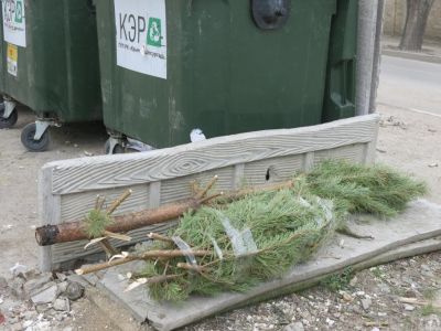В Феодосии таки начали выбрасывать новогодние елки