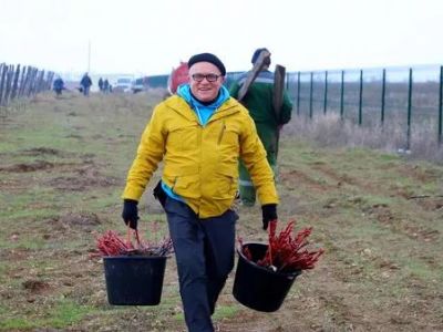 Заложили "цифровые" виноградники в Крыму: когда ждать первый урожай?