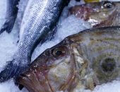 В Крыму планируют выращивать рыбу дораду