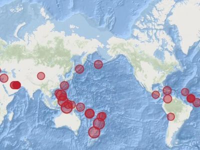 Землетрясение в Турции повлекло за собой тысячи сейсмических ударов по всему миру