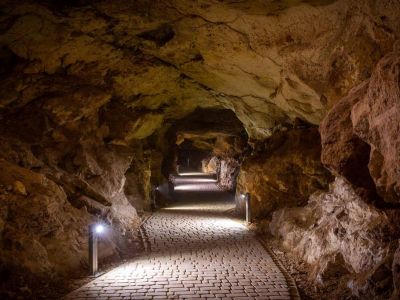 В крымской пещере "Таврида" создадут палеонтологический музей