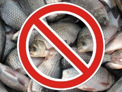 В Крыму вводится нерестовый запрет на лов пресноводной рыбы