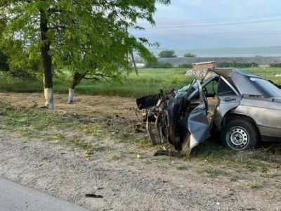 Mercedes влетел в дерево на востоке Крыма – водитель погиб