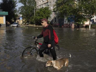 Парк с тысячами животных затопило в Херсонской области