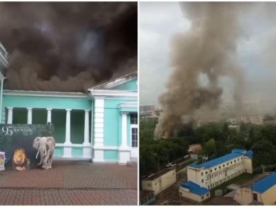 Кровля здания зоопарка Ростова-на-Дону обрушилась из-за пожара