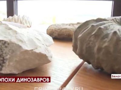 Новый вид моллюсков и кости страусов нашли ученые в Крыму