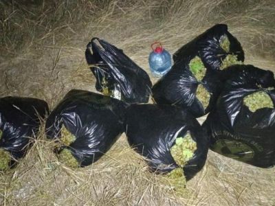 Под Феодосией двое нетрезвых местных жителей украли 200 кг винограда
