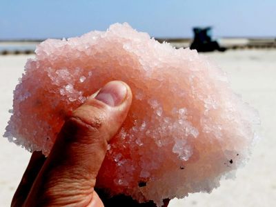 В Крыму под Евпаторией начался сбор розовой соли на озере Сасык-Сиваш