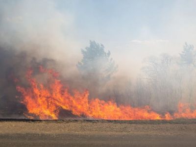 В Севастополе снова пожар: на площади 3,5 тысячи квадратов горит сухая растительность