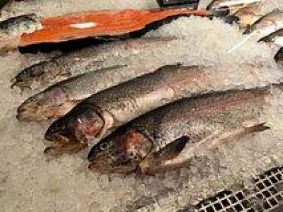 Запрет на ввоз норвежской рыбы поможет компаниям в России