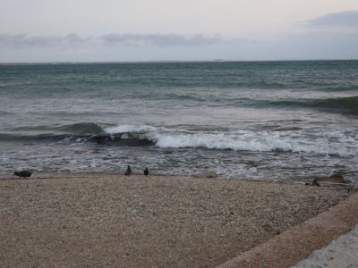 Морская вода у берегов Крыма за неделю остыла на градус