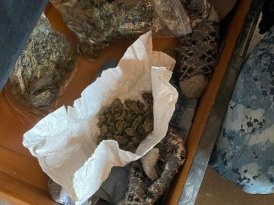 В Феодосии полиция нашла марихуану в доме еще одного местного жителя