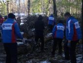 В Симферополе студенты помогают привести город в порядок после шторма
