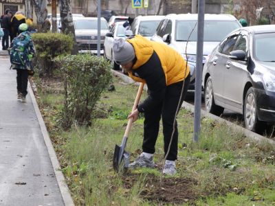 Феодосийцы присоединились к акции «Посади свое дерево жизни»