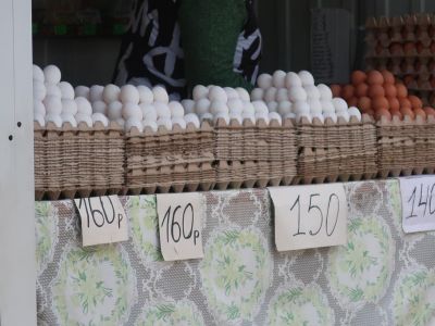 В Крыму производство яиц увеличилось на 9%