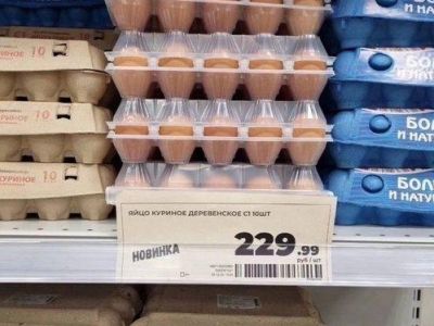Вторая партия куриных яиц из Турции ввезена в Россию