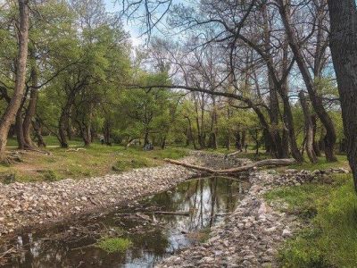 В реках Крыма обнаружили смертельно опасные химикаты