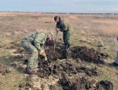 Под Феодосией поисковики нашли останки советских солдат