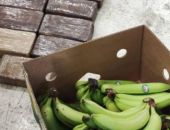 В порту Петербурга  нашли среди бананов кокаин  на 165 млн рублей
