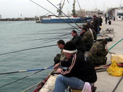 Керчан будут бесплатно обучать рыболовству 