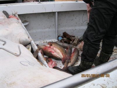 Под Керчью задержали браконьеров с крупной партией рыбы