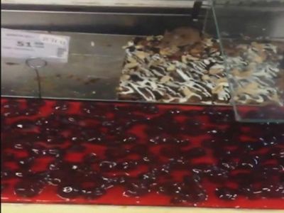 В супермаркете Севастополя мышь ела торт на глазах посетителей
