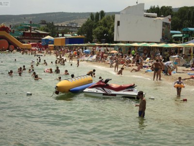 �������� 2012