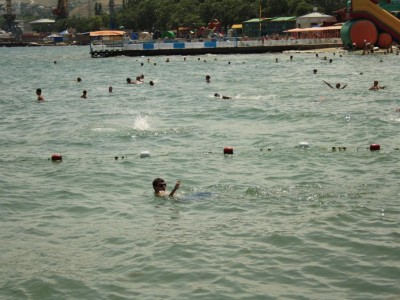 �������� 2012
