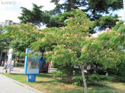 ����-2012