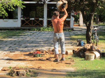 �������� 2012