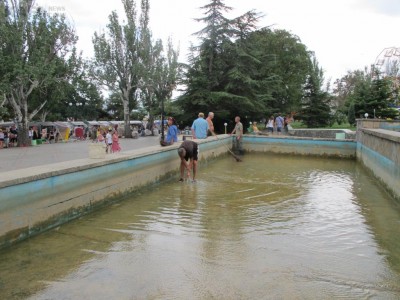 �������� 2012
