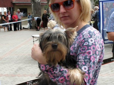 ������� � �������� ���������� �������� �����