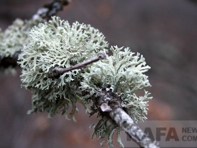 ����������� � ����� ����