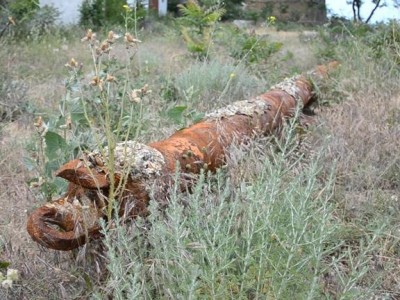 ���� ����� � e-crimea.info