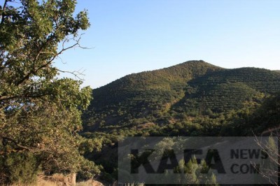 ������� - ��������� - ���������