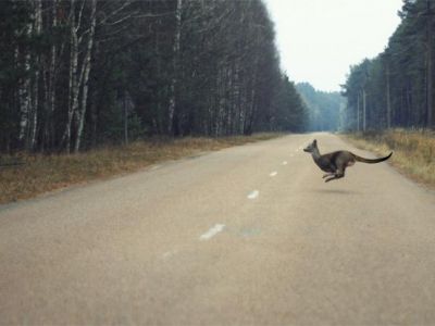 � ������������� ���� ����� �������