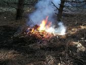 В Крыму объявлена чрезвычайная пожароопасность, туристов просят соблюдать правила пожарной безопасности