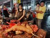 В Китае упал спрос на собачье мясо