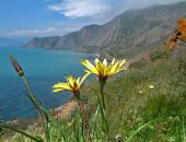 Прогноз погоды на неделю в Крыму: тепло и солнечно, но с четверга - ливни и грозы