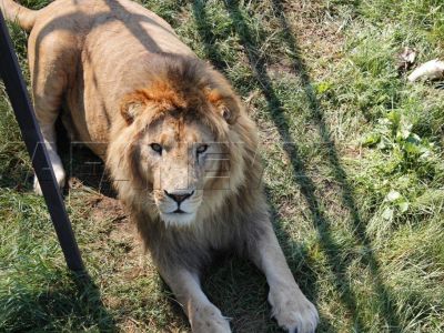 �������� �� ��������� ����� ����� ��������